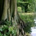 Holzstruktur-03