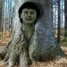 Waldgeist_w