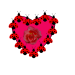 Herz1