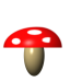 fliegenpilz