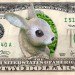 haseimdollar