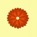 orange_bluete