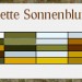 pal_sonne