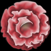 02_Blumen_1