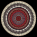 02_Blumen_6