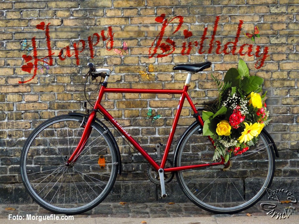 Happy Birthday Nora! GIMPWerkstatt