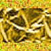 ribbon 1goldpapier