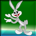 bunnyhase