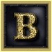 1B
