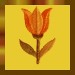Gest Blume1