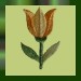 Gest Blume