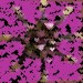 Nasch3