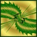 Dose2