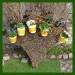 Fruehling1