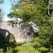 Odenwald 171