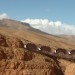 Termiten