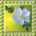 E5
