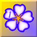 bluete2