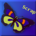 scrap