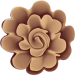 bluete6_eibauoma