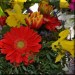 bunt1