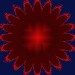 kunstblume6