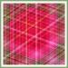 pfingsrose17