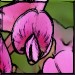 wicke6