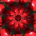 zierapfel5