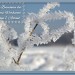 adventsgruss