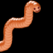 wuermli2