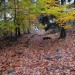 Herbst15