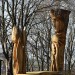 Kettensaegeschnitzerei