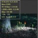 aronstab1_exif