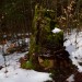 stubben