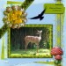 ws1-annerose