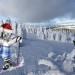 baer-im-harz-2_o