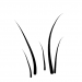 gras5