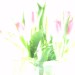 abschluss_5.2