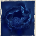 cyanotype_blau