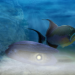 Unter_Wasser_mit_Shell_3