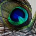 colors - Kopie
