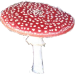 Fliegenpilz