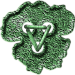 Knopfgitti01