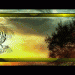 Bannermitbuchbannerwechselalleebenenvereint