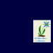 Blaue Blume Deskt
