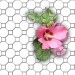Gitter-Blume-paper-Jacky