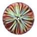 Kreis-Spyrogimp-Jacky