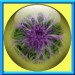 0001 jacky1 10