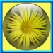 0001 jacky1 15
